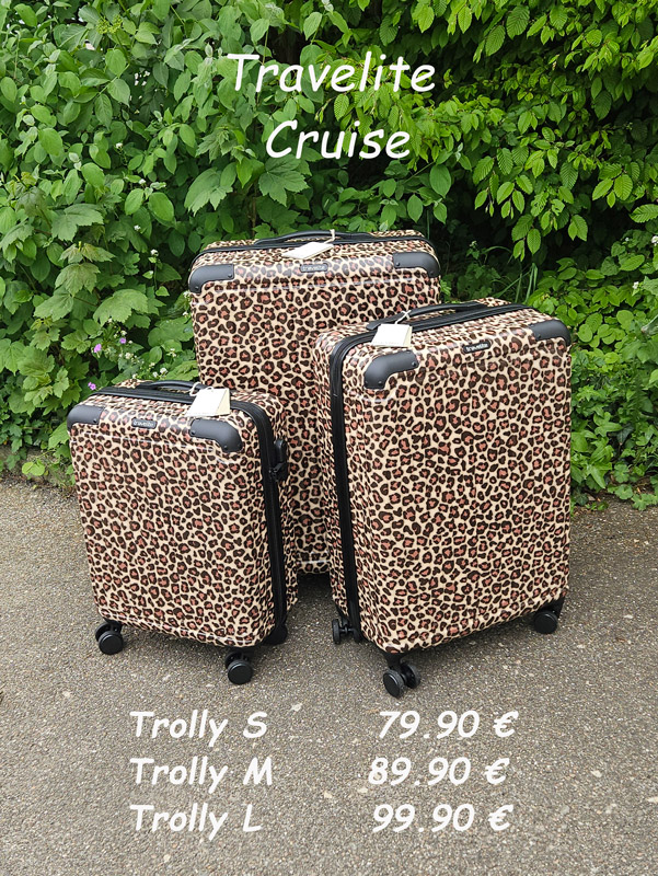 TL_Cruise_Leo_2_20260504_135548